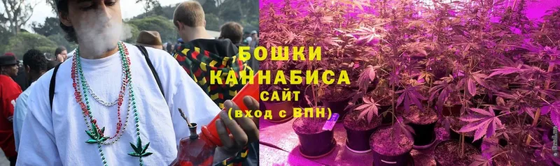 Конопля сатива  цены наркотик  Грязовец 